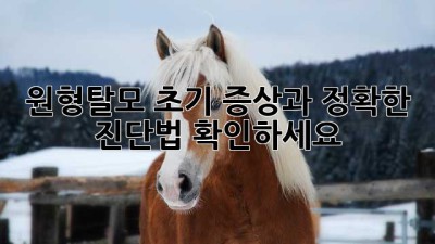 원형탈모? 초기 증상과 정확한 진단법 확인하세요!