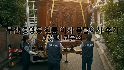 부산 중앙동 원룸 이사? 용달이사 후기 3곳 비교분석!
