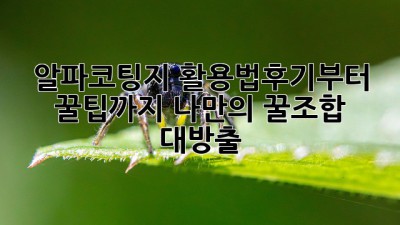 ✨ 알파코팅지 활용법🍯후기부터 꿀팁까지! 나만의 꿀조합 대방출!