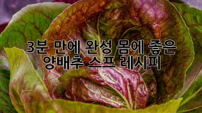 3분 만에 완성! 몸에 좋은 양배추 스프 레시피