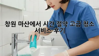 창원 마산에서 시간 절약! 고급 청소 서비스 후기